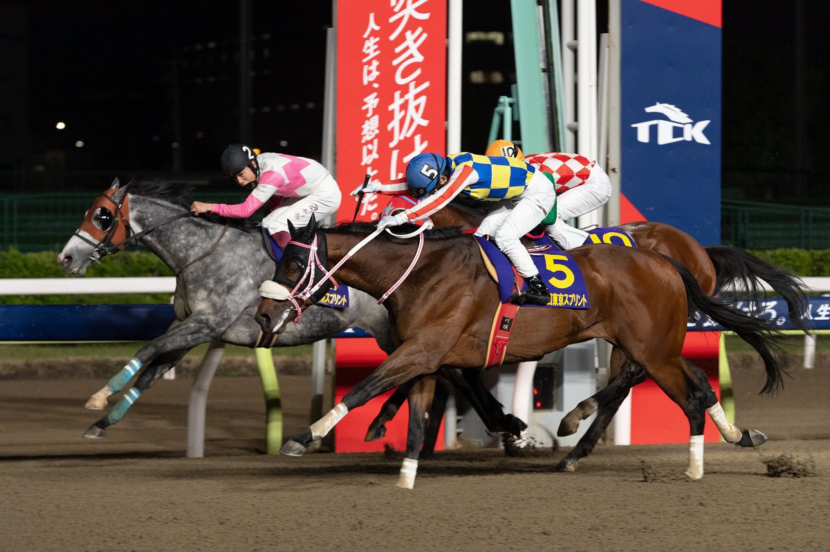 ギャンドラ tweet media