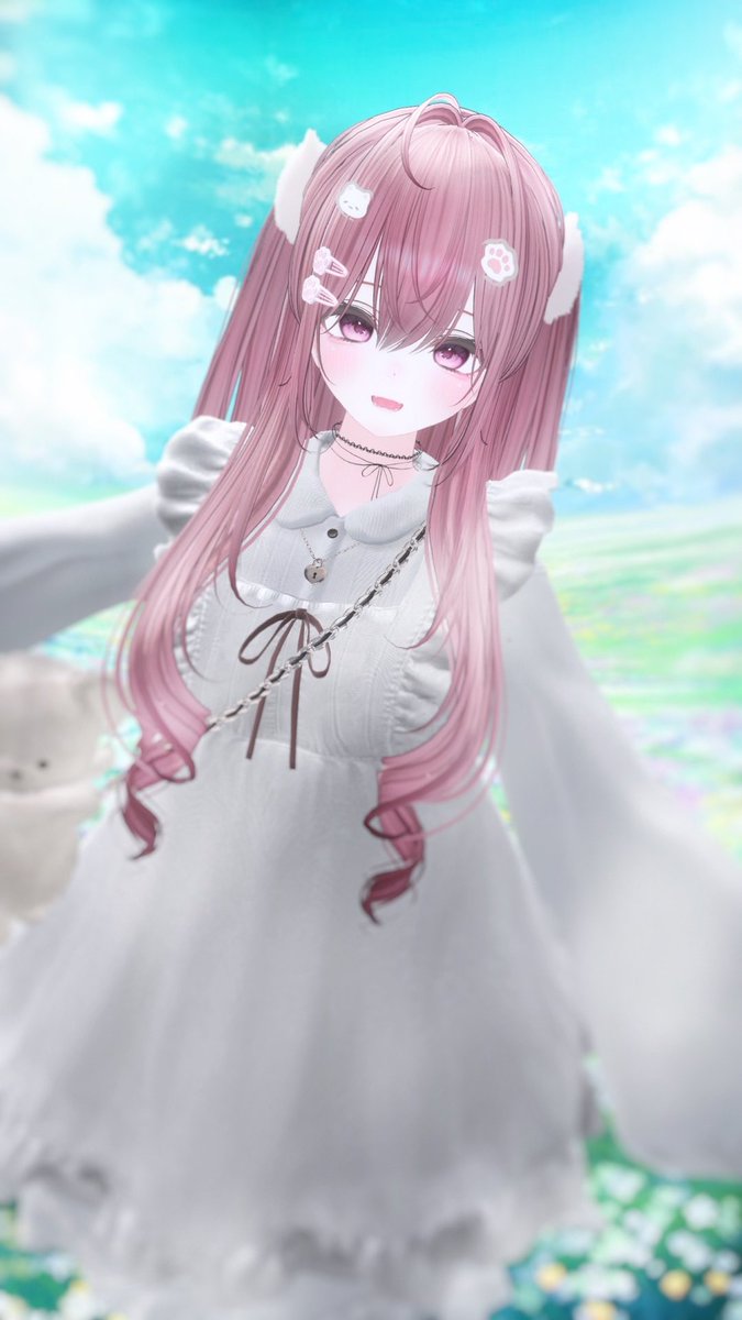 もふね🎀🐾 tweet media