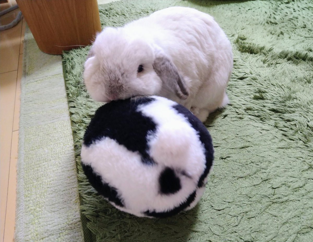 あいととまと tweet media