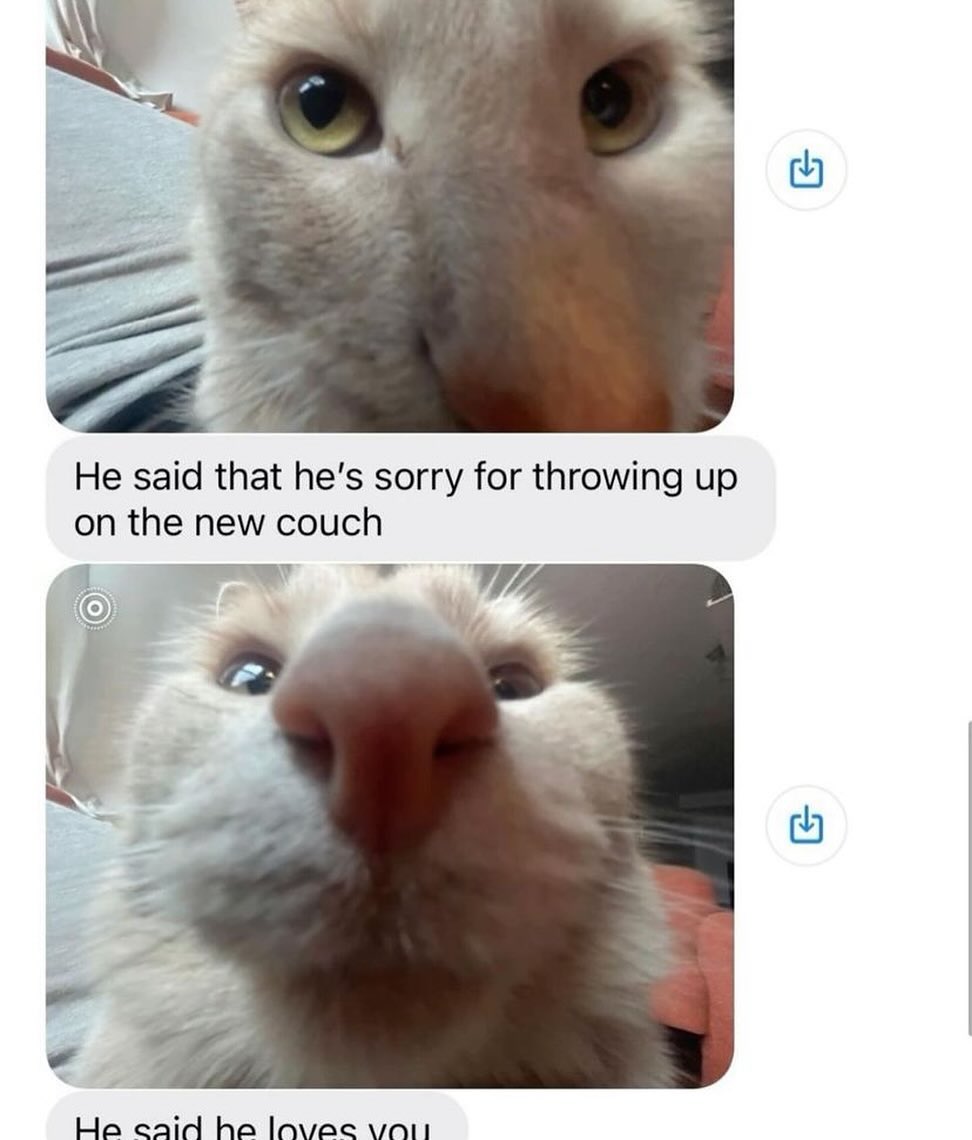 PunchingCat's tweet photo. https://t.co/OlPS8CrezV