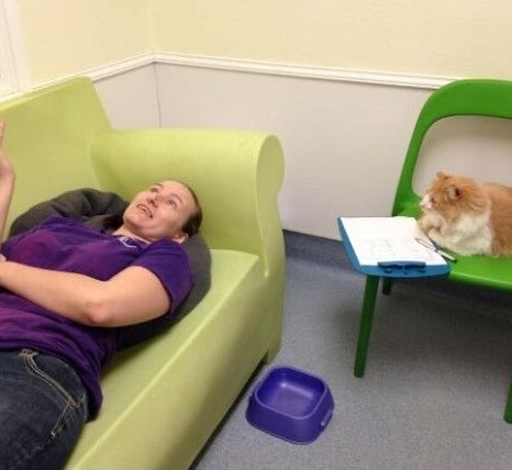 ana ⊹ ࣪ ˖ tweet media