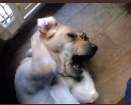 ثامر tweet media