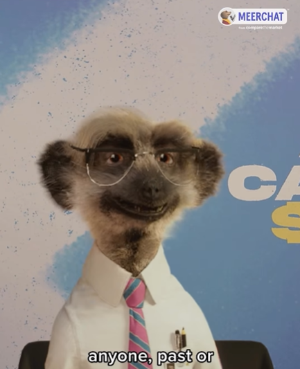 Josh Slater-Williams tweet media