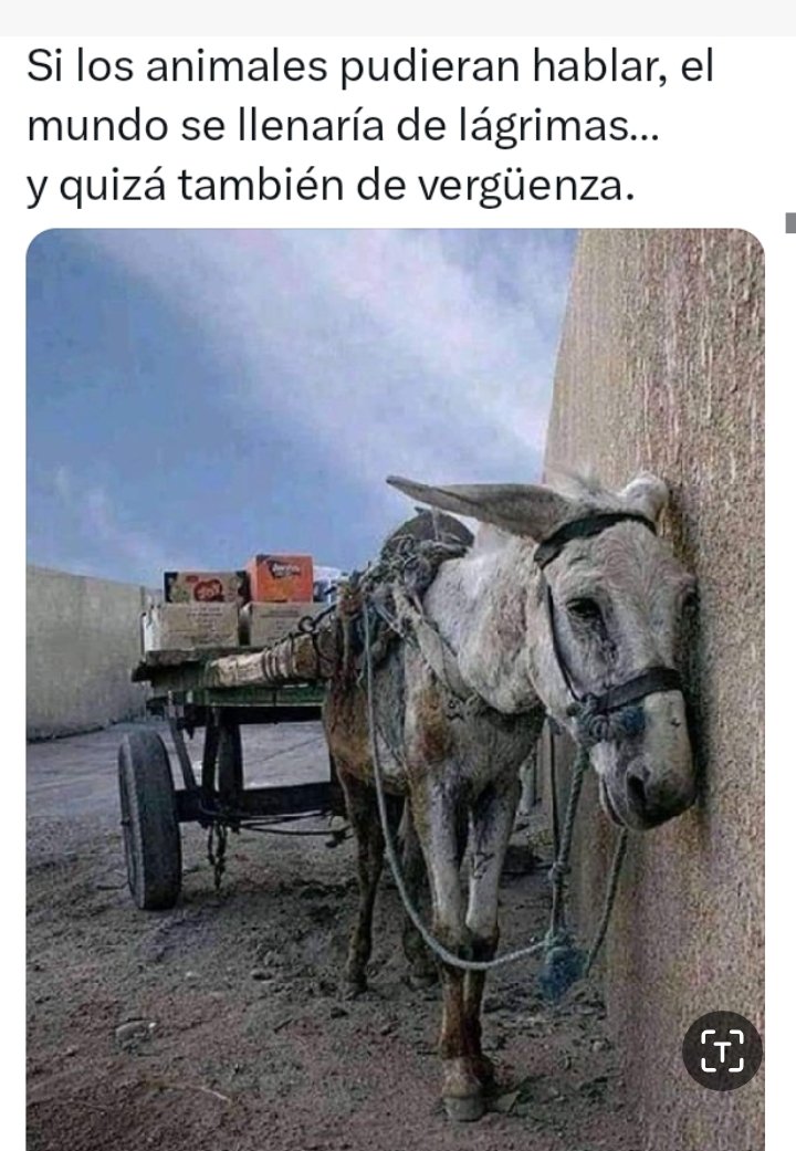 ayo545na tweet media