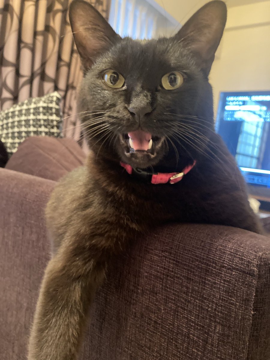 アグリとウキョウ tweet media