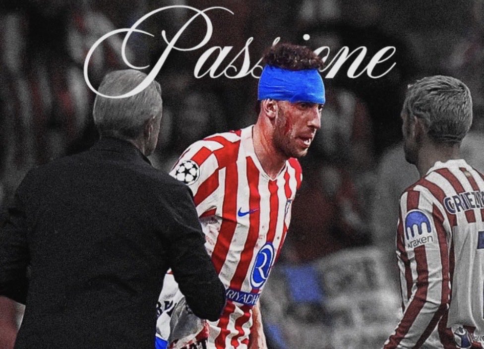 The Lion tweet media