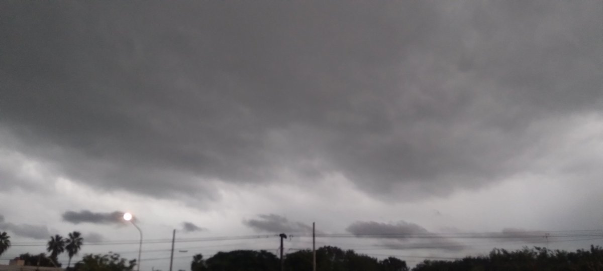 Marcelost tweet media