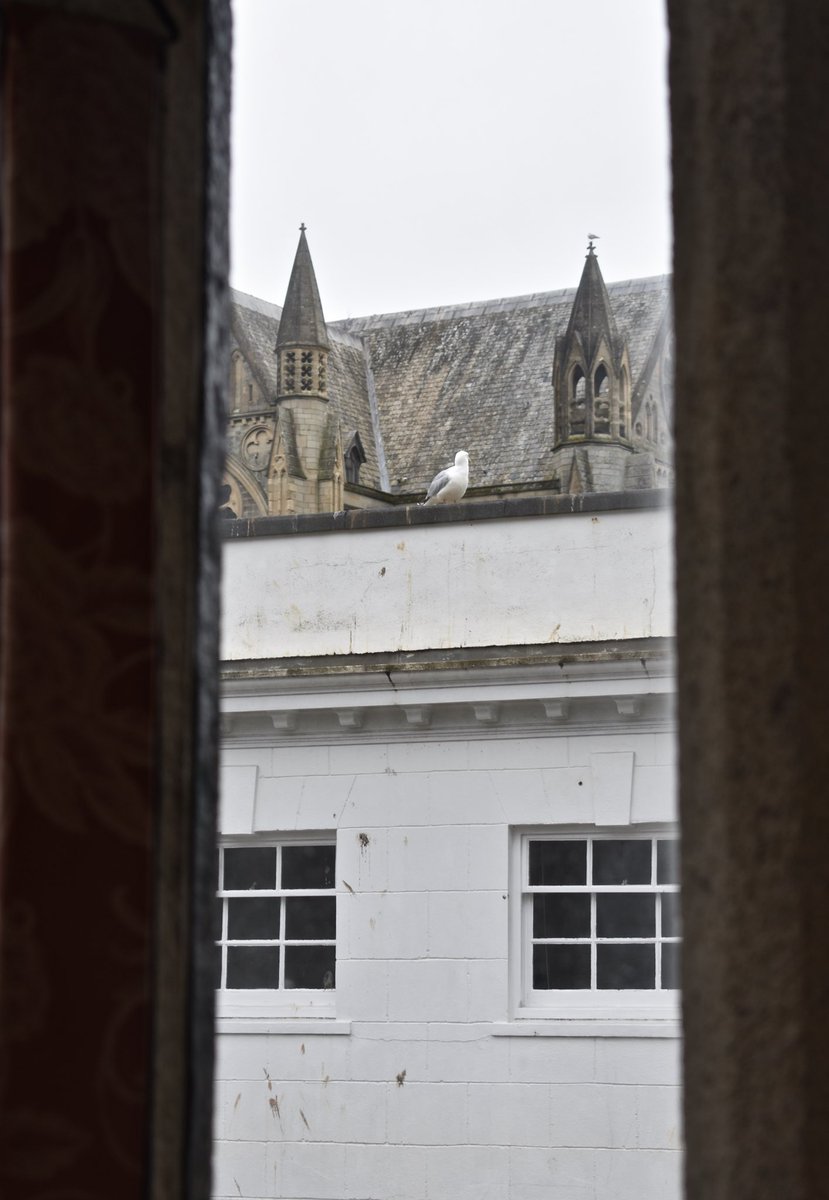 あぶそる〜とロンドン Absolute London tweet media