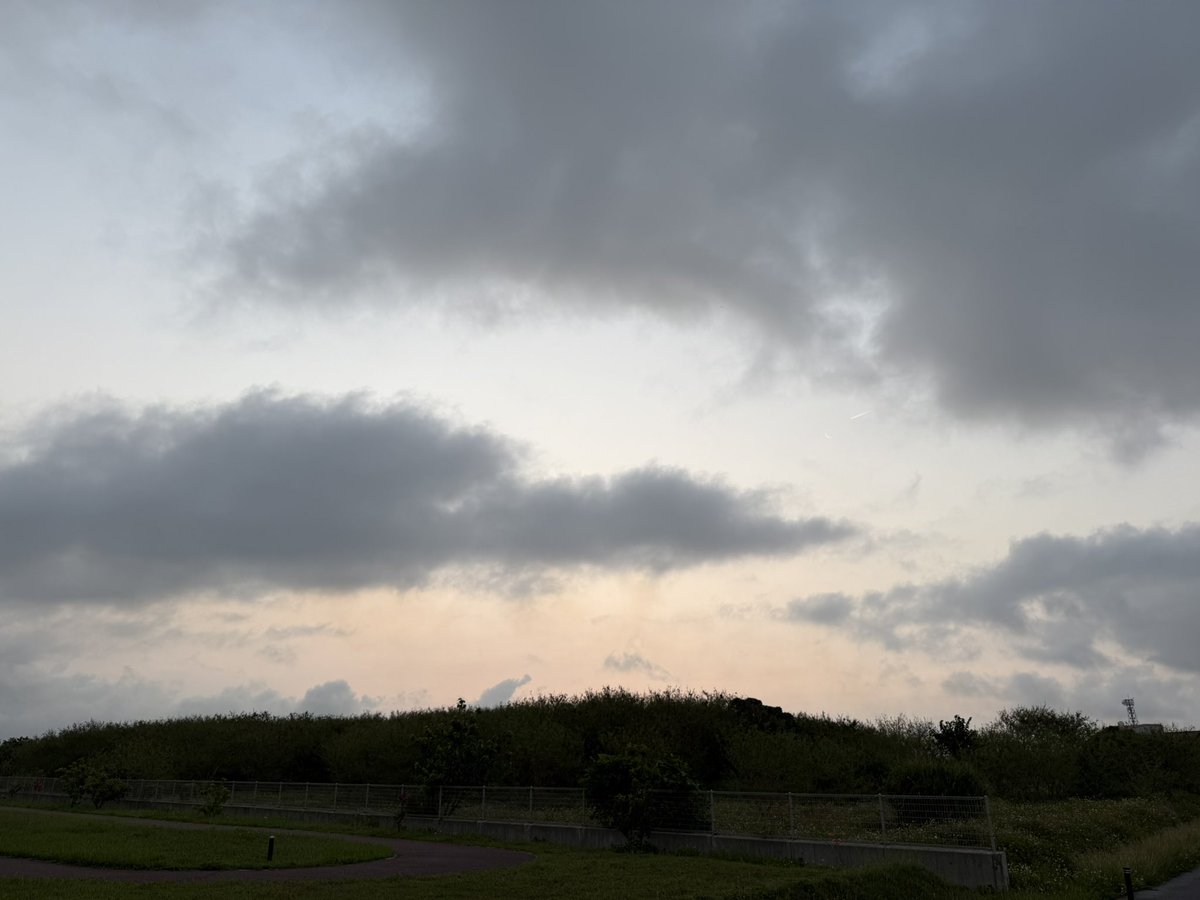 🏝️ねぎまみつヲ🏝️@島暮らし3年目 tweet media