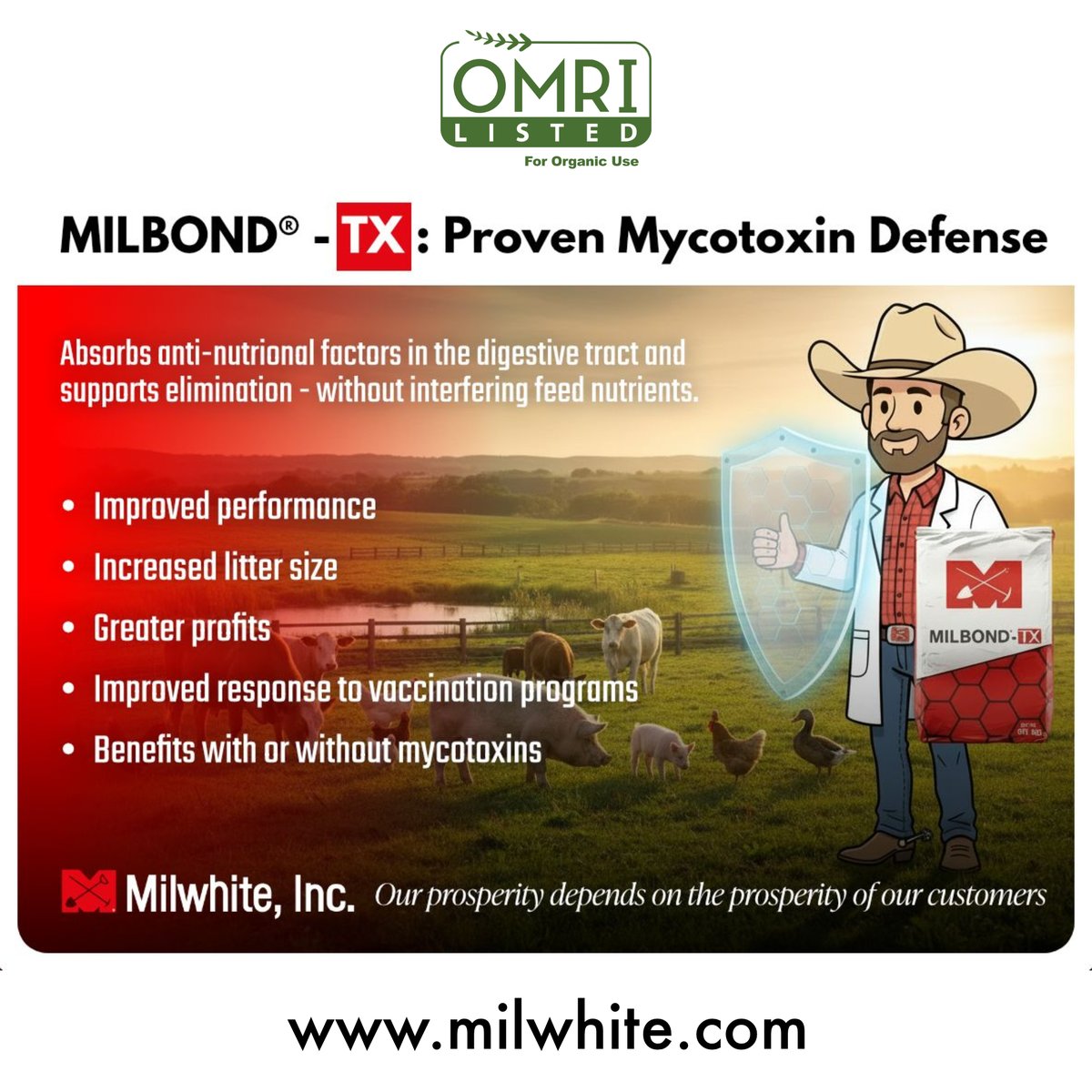MilwhiteInc's tweet image. Milbond®‑TX helps defend feed by adsorbing anti‑nutritional factors in the digestive tract and supporting elimination without interfering with feed nutrients. 

Learn more: milwhite.com

#Milwhite #MilbondTX #Mycotoxins #MycotoxinDefense #FeedAdditives #AnimalNutrition
