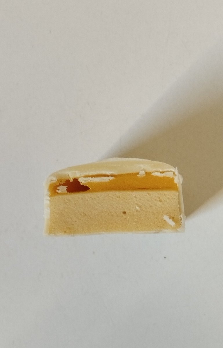 turtle of recovtwt | attempting harm reduction tweet media