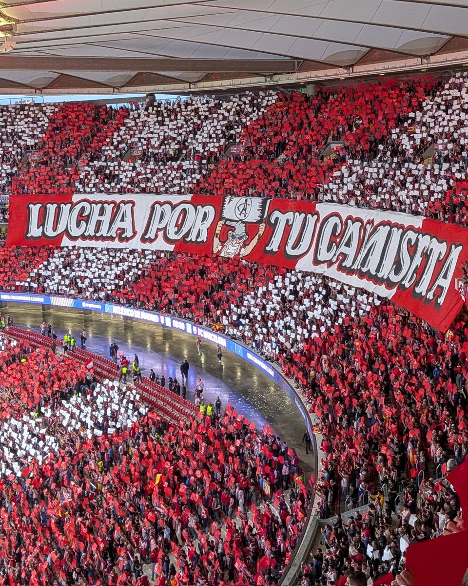 Rodrigo Pinedo tweet media