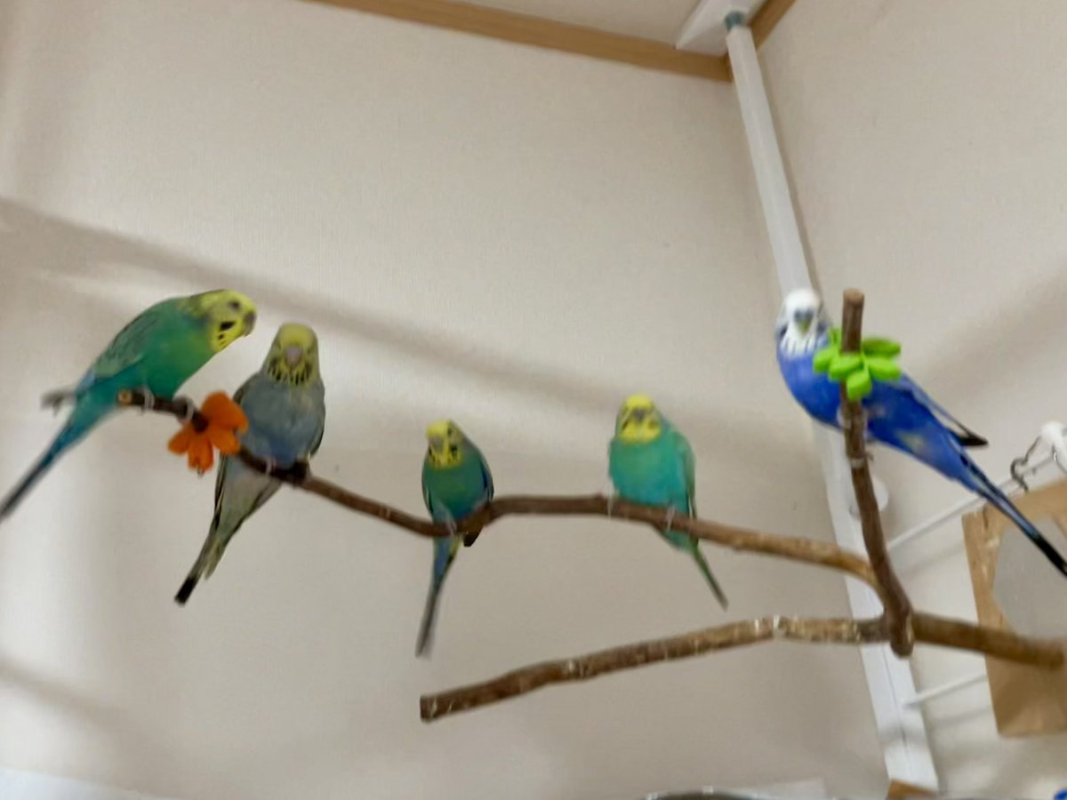 0020まい tweet media