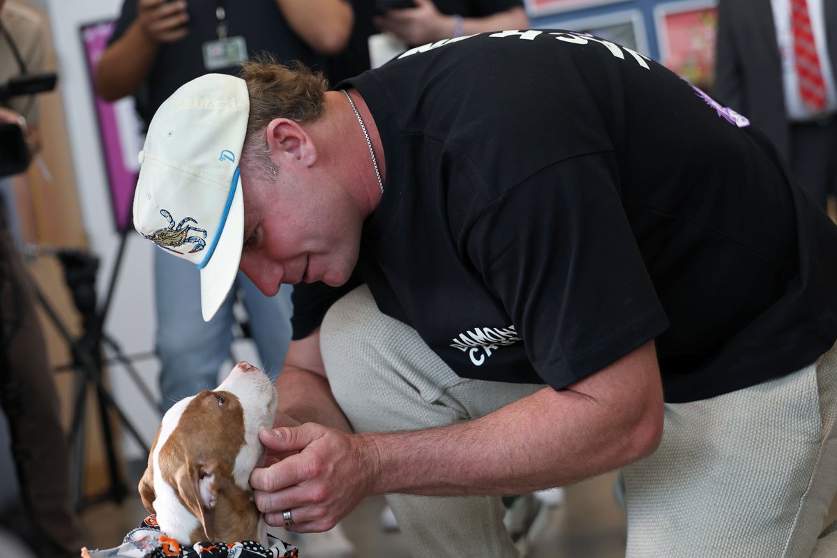 Baltimore Orioles tweet media