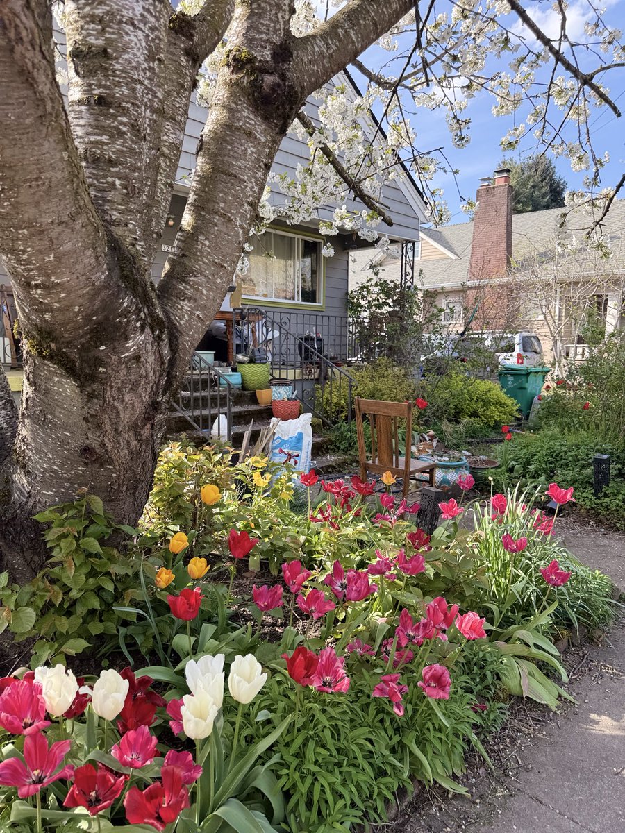 disc ※ tweet media