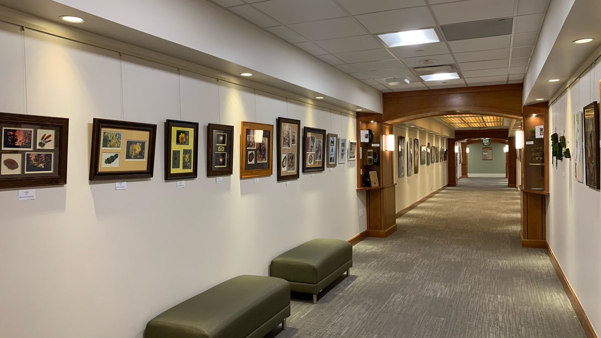 LUHFoundation's tweet photo. The newest rotating art installation at the LUH Art Walkway has been installed over the weekend! Hosting nine new local artists to the walls including painting, photography, fiber art, alcohol ink, preserved moss, jewelry, and mixed media. Come by sometime to see the whole show! https://t.co/c2FJ6USxjY