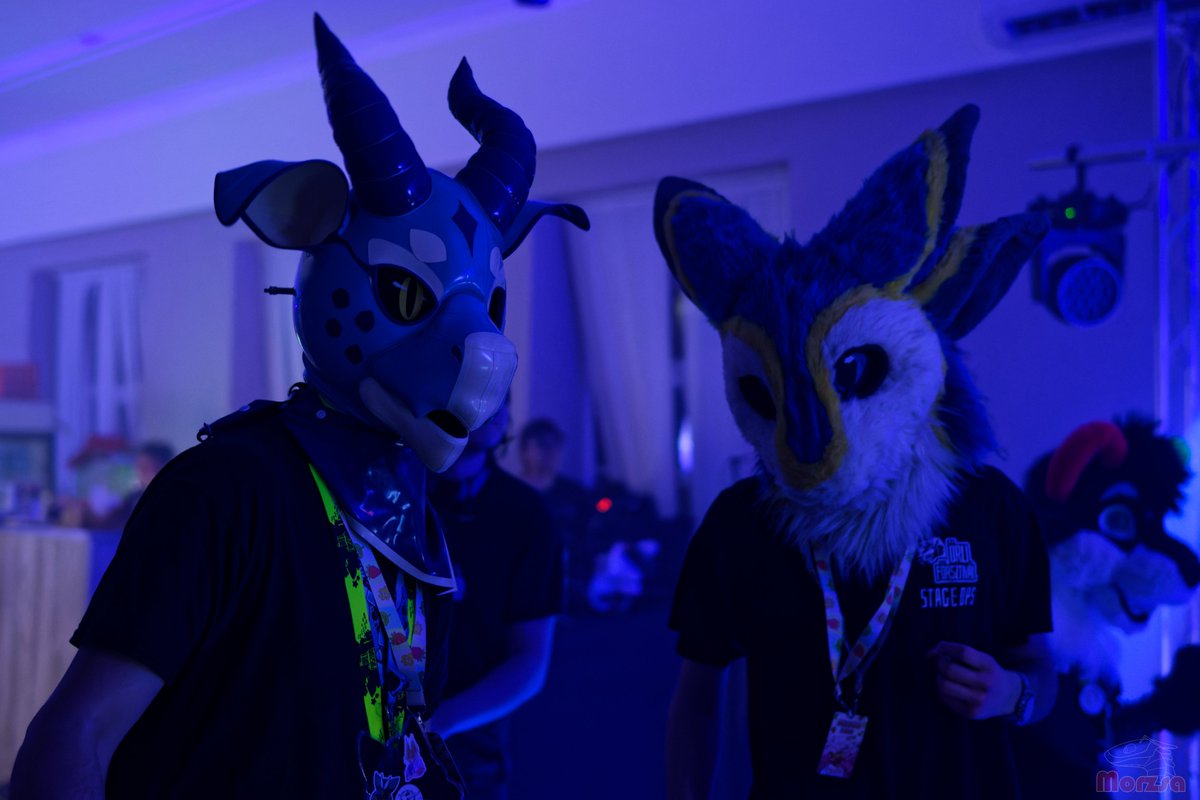 Lime Dev tweet media