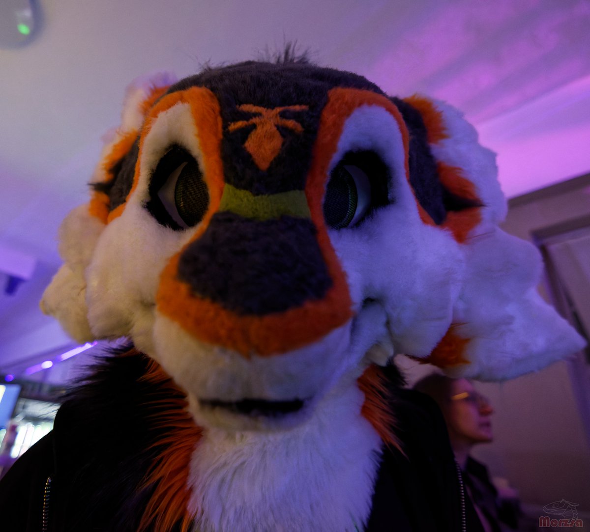 Lime Dev tweet media