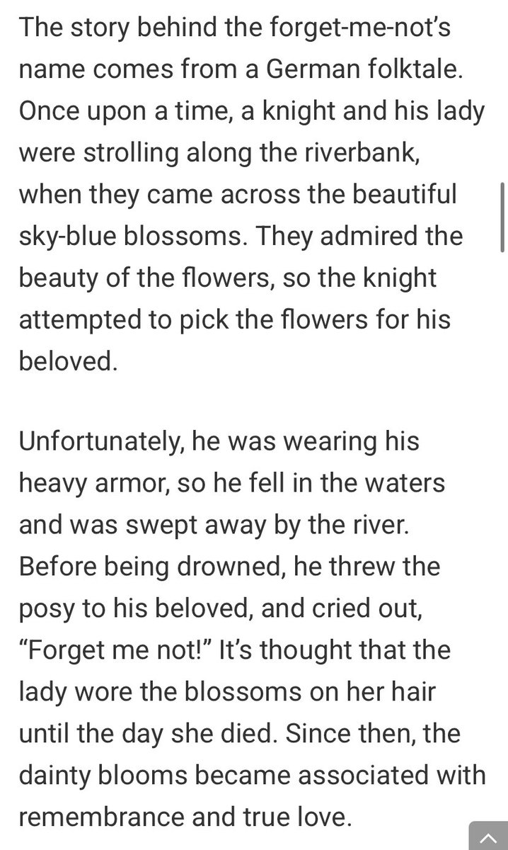 vink || #1 donald duck defender tweet media