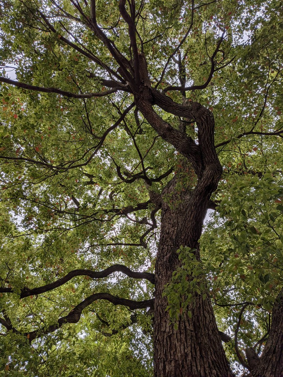 こころ(サブ垢） tweet media