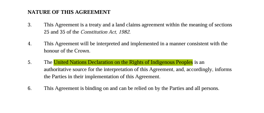 Caroline Elliott tweet media