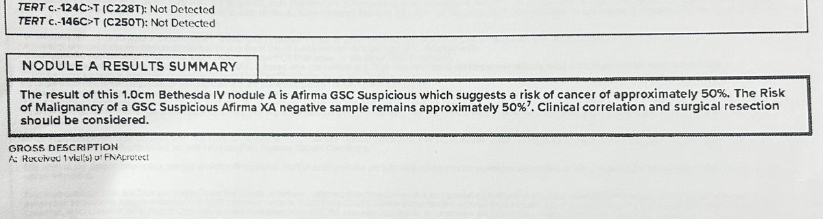 USA Reject tweet media