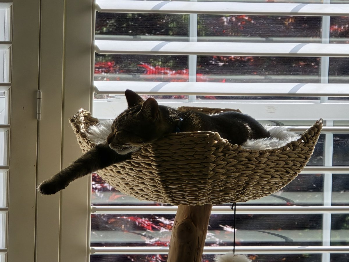 Larry Forman tweet media