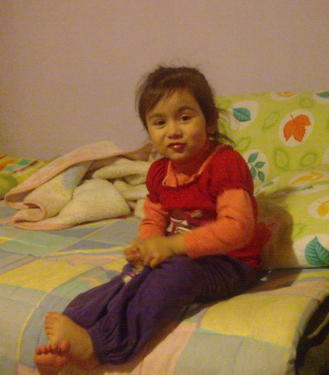 noche🐥🦊 tweet media