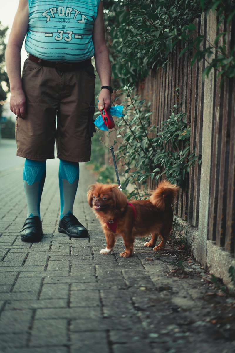 PurPawFectShop's tweet image. Who’s really in charge of the workout? 🐶💪 Your dog’s daily “walk” somehow turns into your cardio session! From zoomies to leash-pulling sprints, they keep you moving and smiling every step of the way 😄🐾

#DogLife #StayActive #PetFitness #HappyPup

purpawfectshop.com