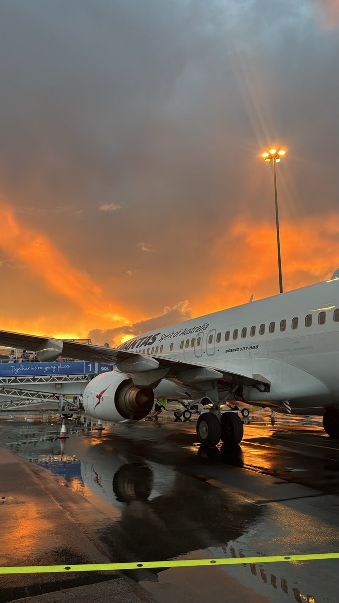 Boogie𝕏 tweet media