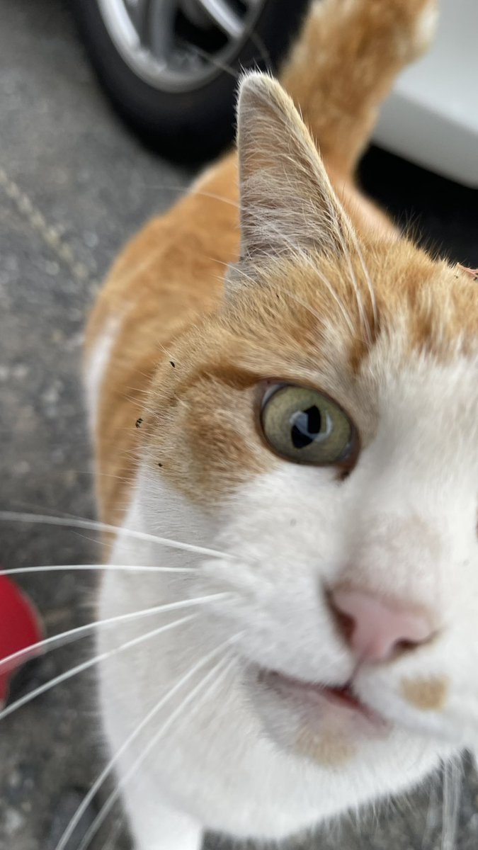 RYO🌙🌊 tweet media