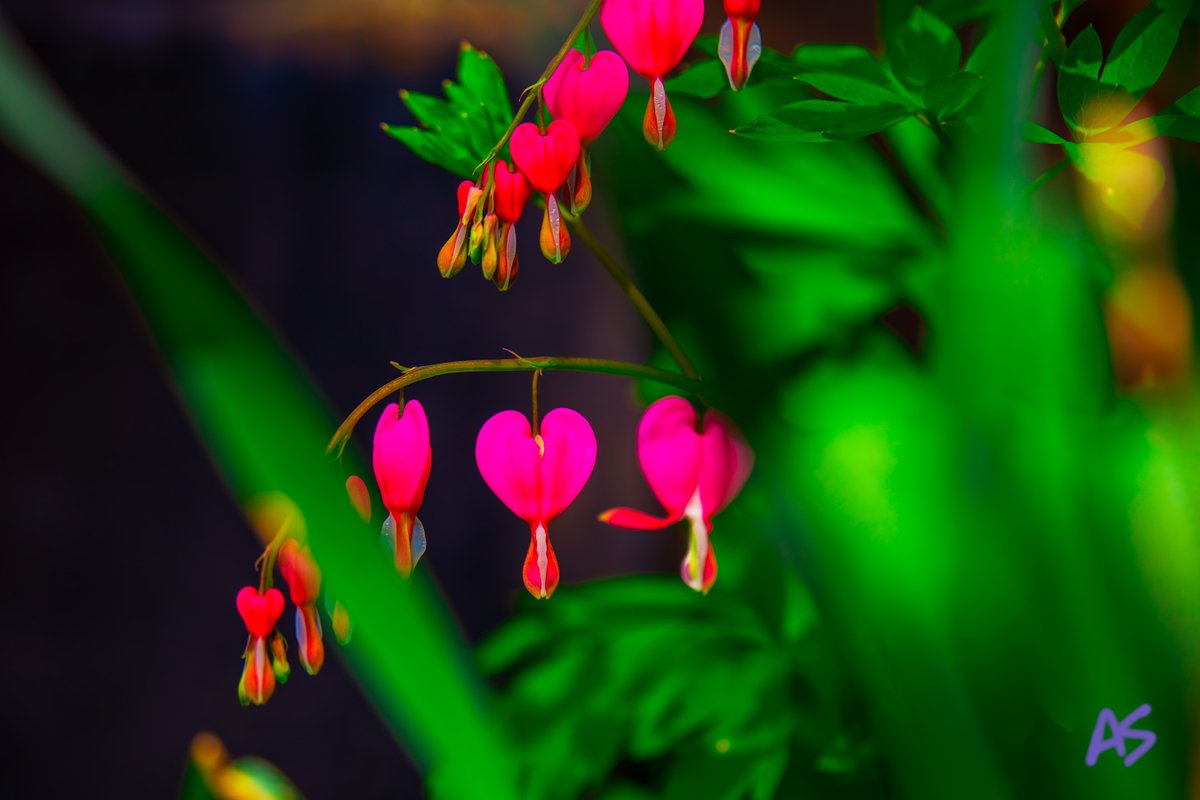 Andy Spessard tweet media