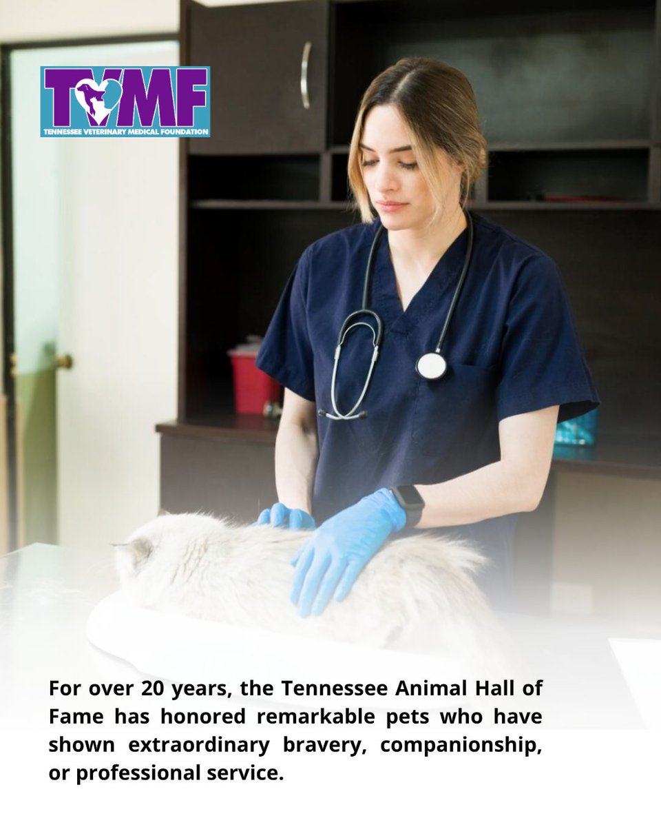 TennesseeVMA tweet media
