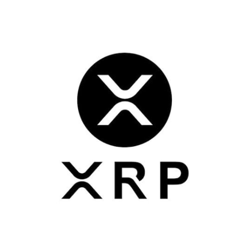 Sunny Girl tweet media