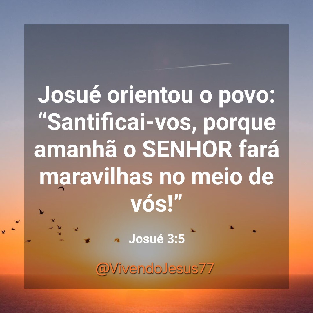 VivendoJesus tweet media