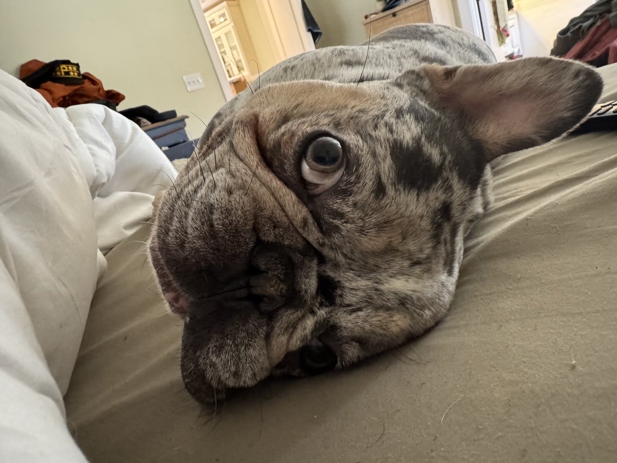 DaddyDimmuTV tweet media