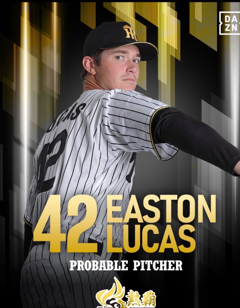 🐯Alice🐯 tweet media