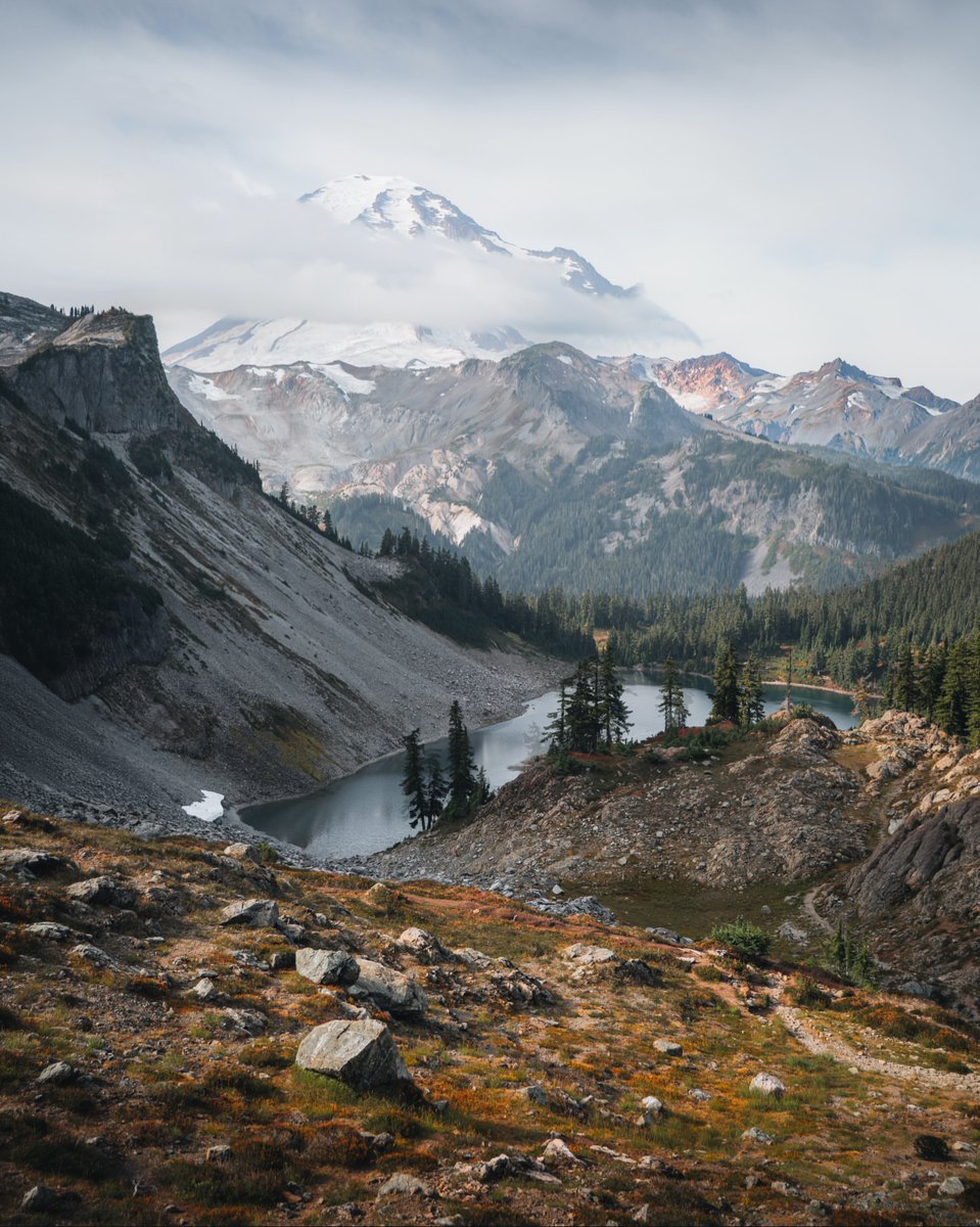 Purely Green tweet media