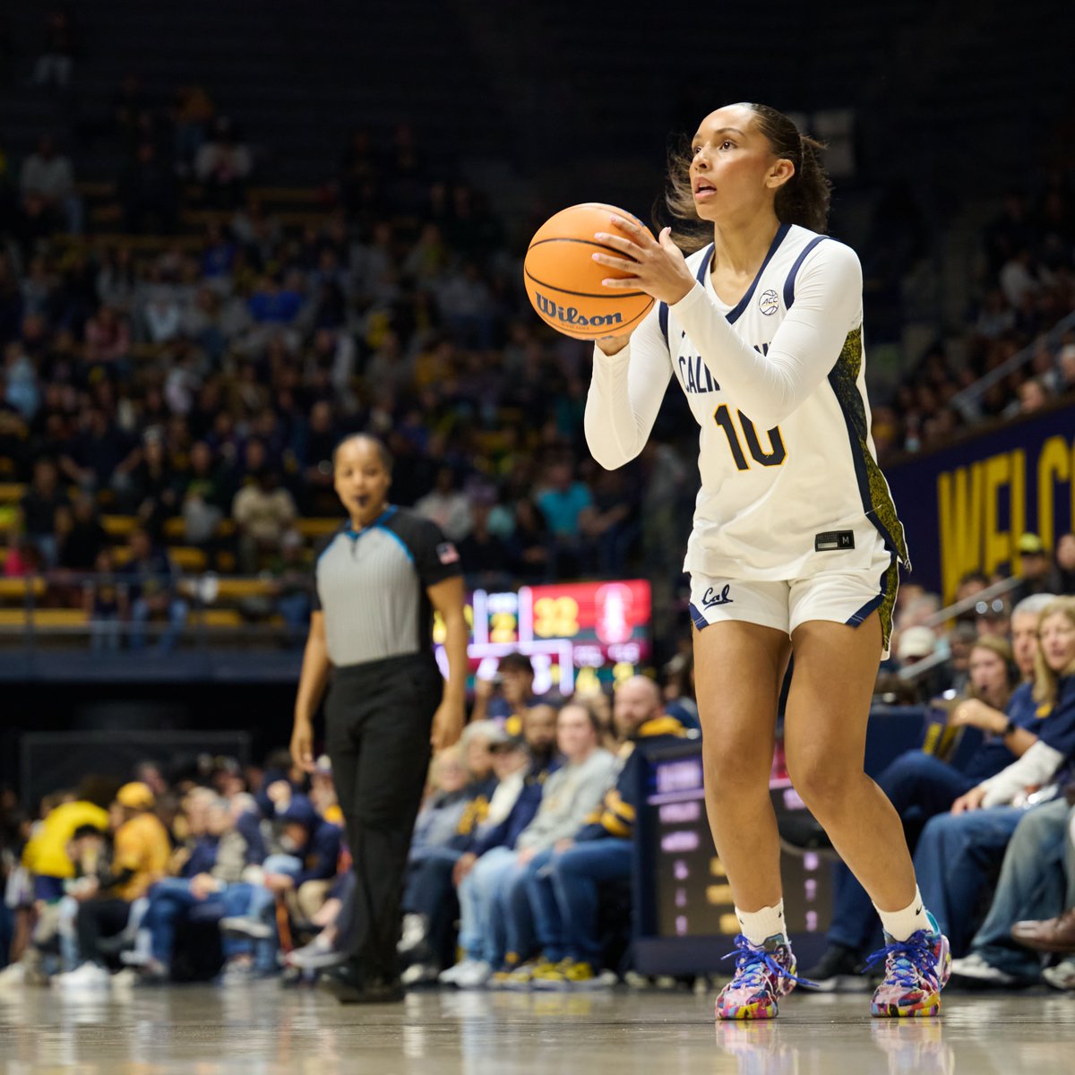 Cal Basketball (@CalWBBall) / Posts / X