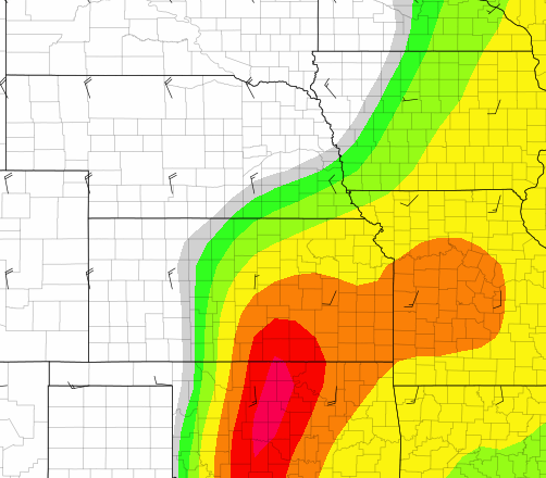 Jaydon Shaw tweet media