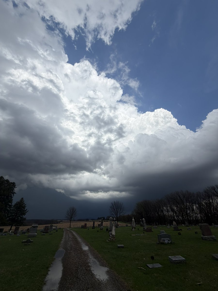 Em Walker tweet media