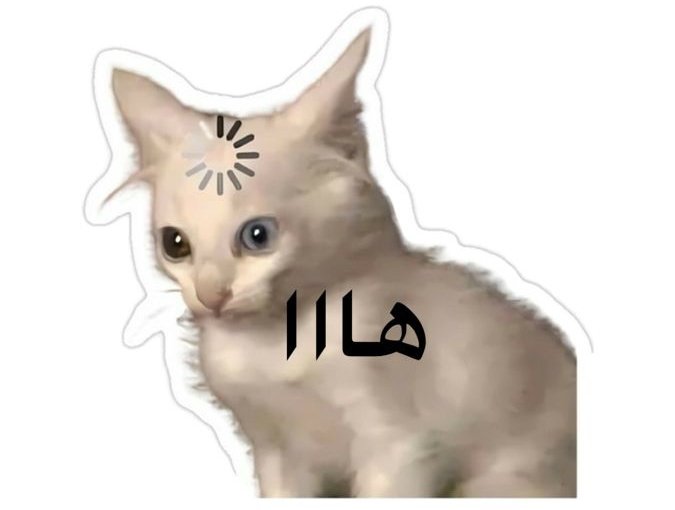 maHad1q's tweet photo. المراجعين جانوا يتناقشون ويايه و سويلنا خصم بعد أكثر
الكاشير حتى يسند موقفي كللهم ترا احنا كلش رخيصين ودائماً احنا ارخص ناس😍 https://t.co/K1SGHFLdGe