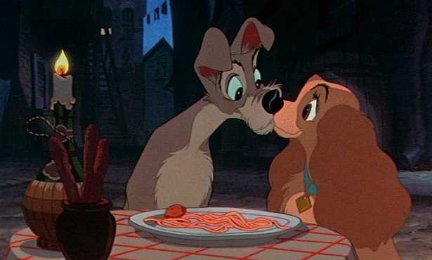 Cat Teto Miku Camus Chul-Han Hume Oppy da Silva tweet media