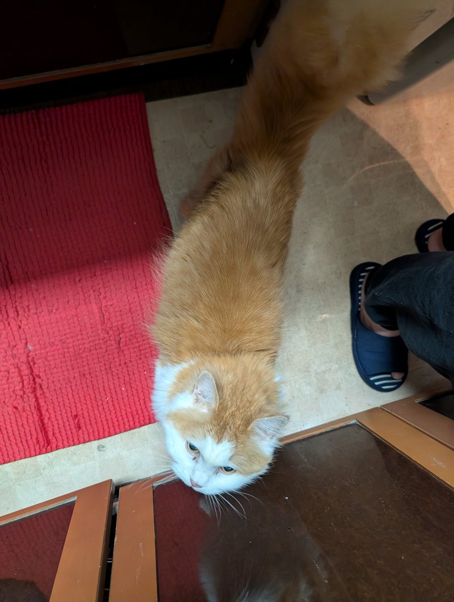 きんや Xにロボット認定されたらしい tweet media