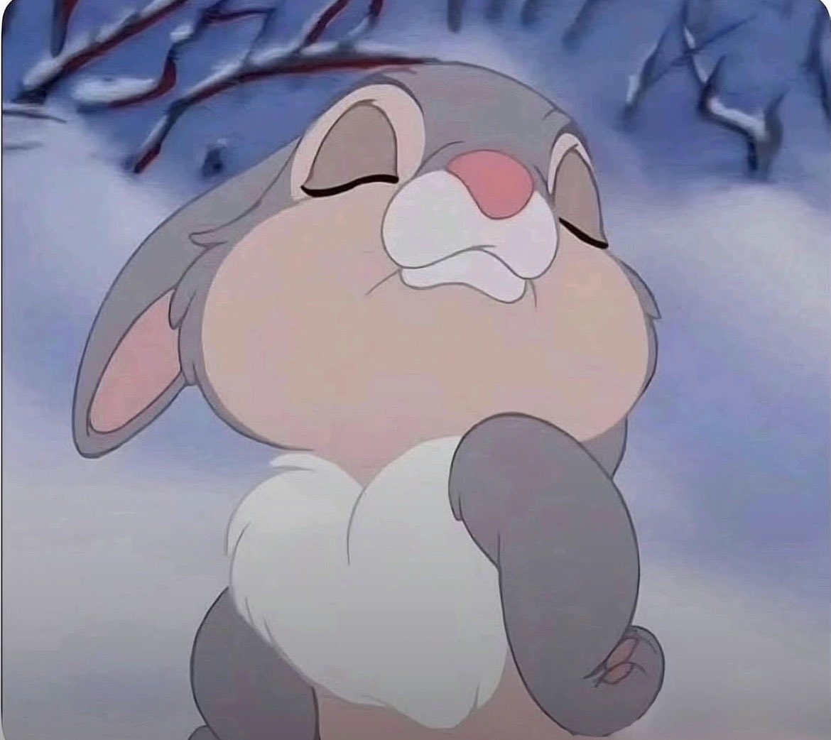 𑣲lαlα tweet media