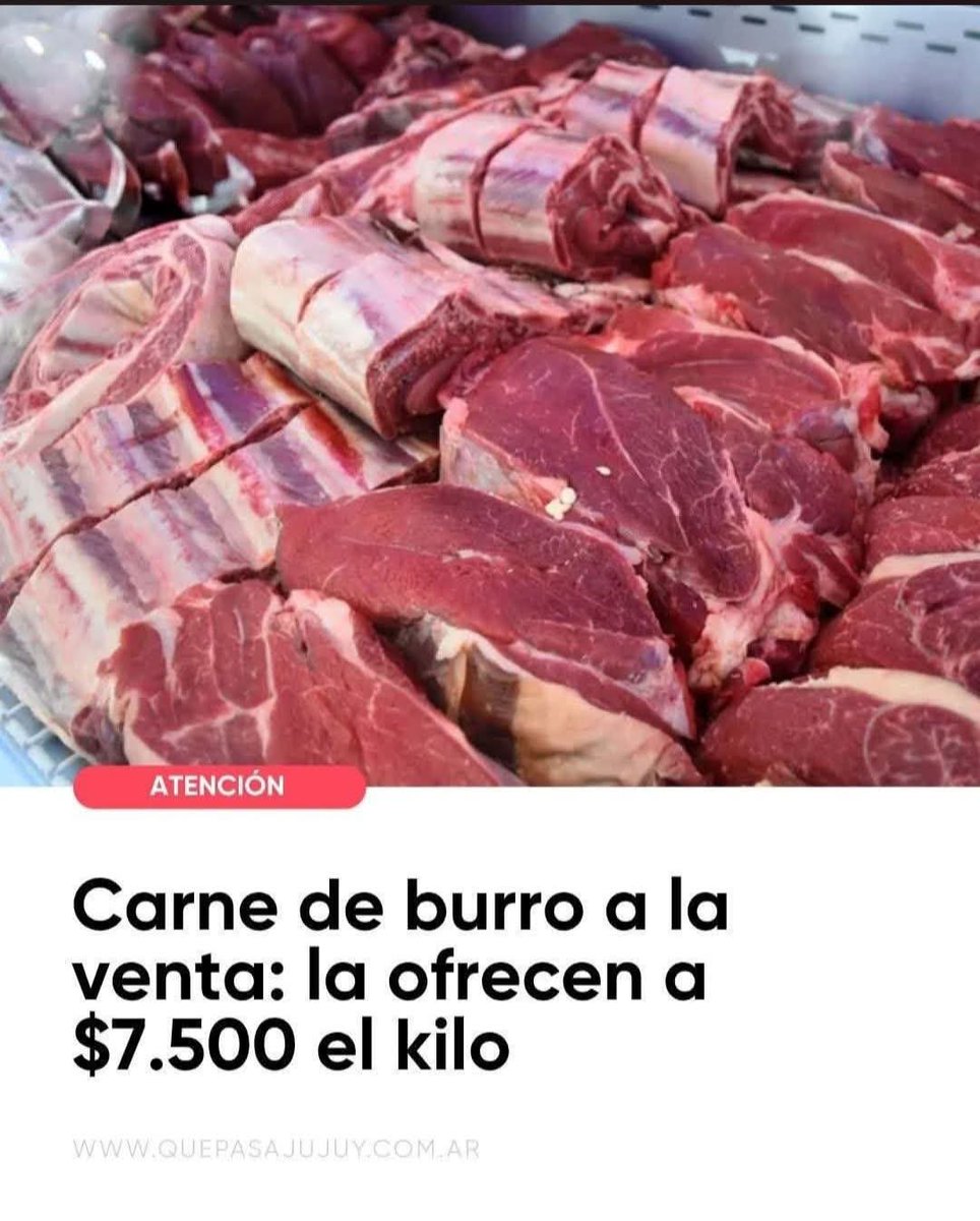 Ely Yfran tweet media