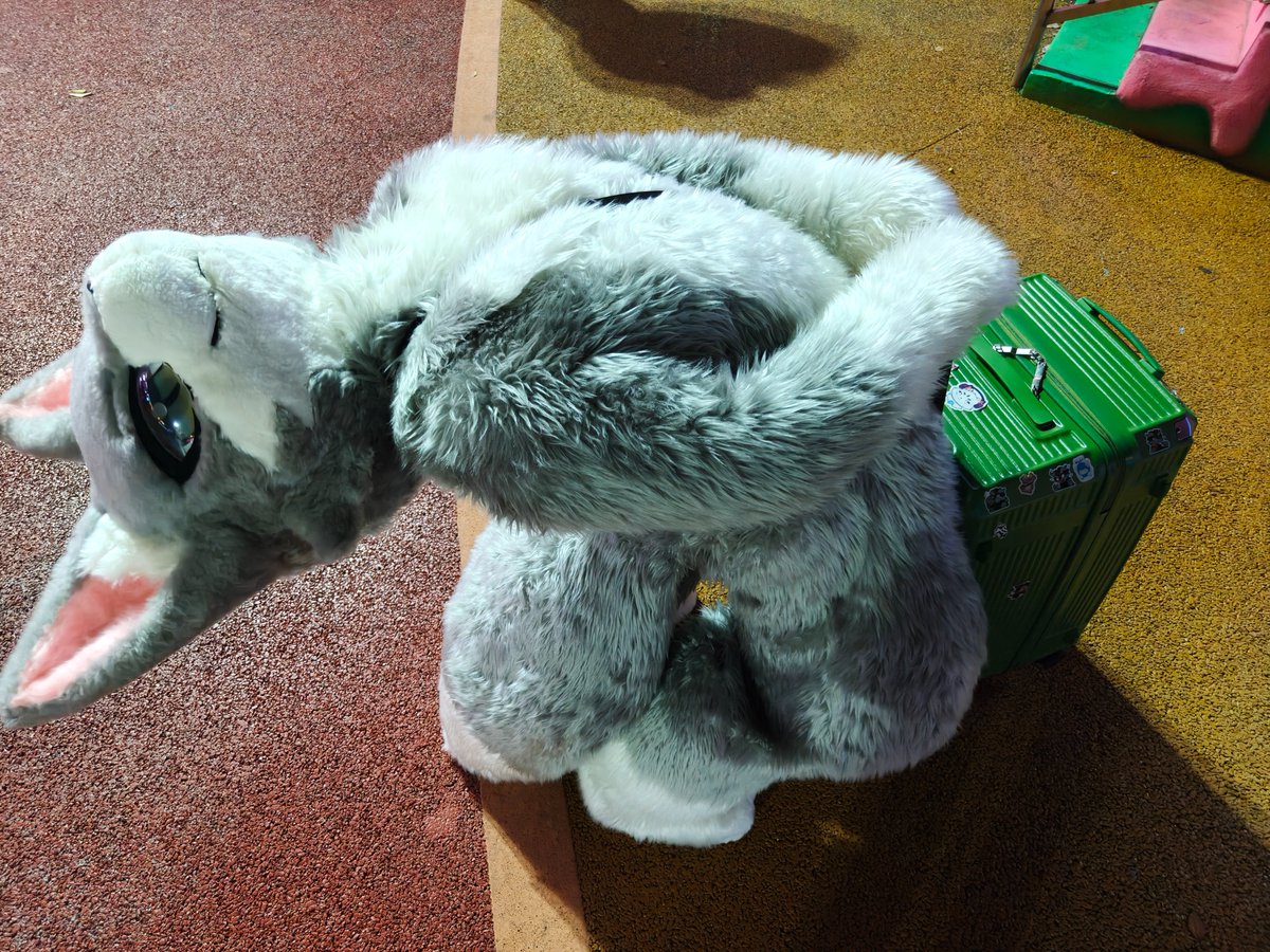 雨衣丿羽翼 tweet media