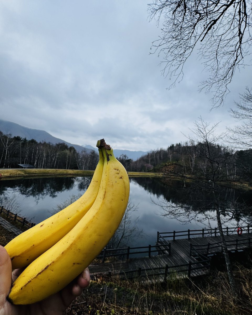 みぃ"おやまのおかん"夜勤キャンパー tweet media