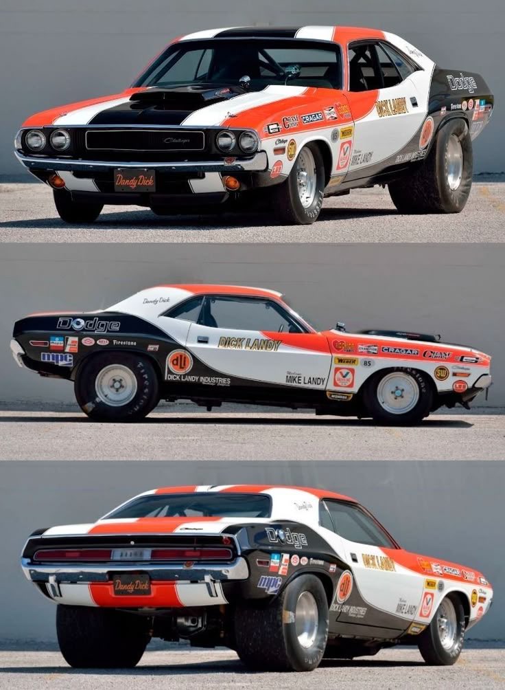 絶妙な塩梅のブス★その名は如月 tweet media