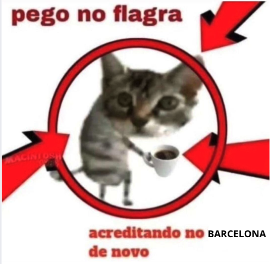 Stake Brasil 🇧🇷 tweet media